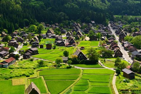2024 (Kanazawa) World Heritage Shirakawa-go and Gokayama Sightseeing ...