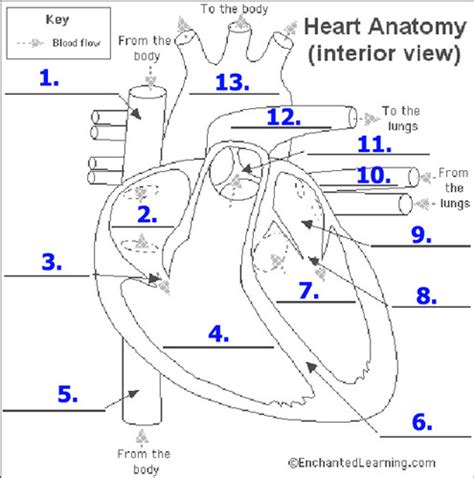 Image result for Heart Rate Sensor Raspberry Pi