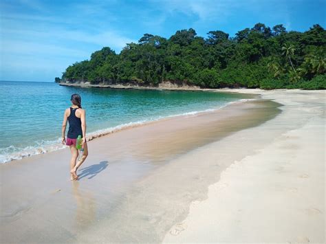 Image result for How to Tell Direction without Compass