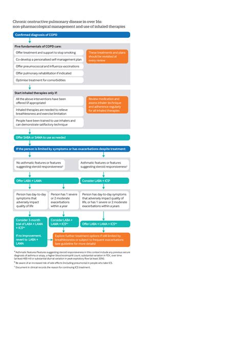 Chronic obstructive pulmonary disease: diagnosis and management ...