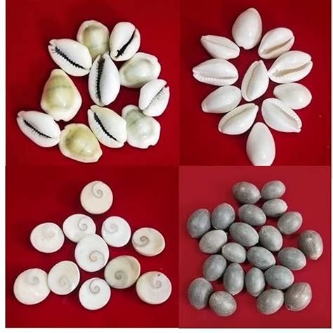 Clickmart Laxmi Pooja Combo of White Kaudi | Yellow Kaudi | Kamal Gutta ...