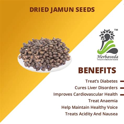 Jamun seeds for diabetes | Eugenia Jambolana Seeds - leanbeing healthcare