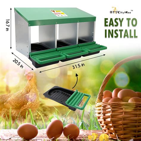 Amazon Chicken Nesting Boxes at Amelie Woolley blog