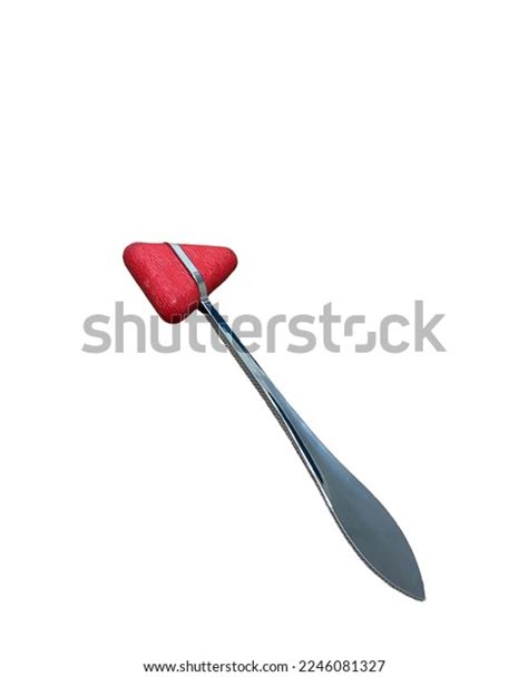 Medial Hamstring Reflex Test 的图像结果