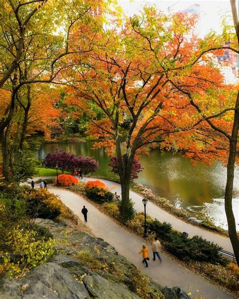 Pinterest | Fall pictures, Fall in nyc, Autumn scenery