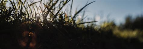 Piękny naturalny panoramiczny krajobraz wsi Kwitnąca dzika wysoka trawa ...