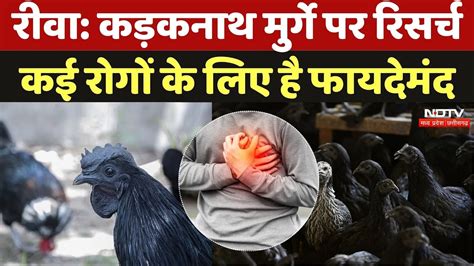 Mental Health | दिव्यांग जनों के लिए मानसिक स्वास्थ्य तक पहुंच