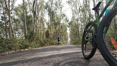 Bir Shikargah Wildlife Sanctuary, Pinjore, HR