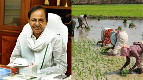 Rythu Bandhu Benefit Disbursement Rescheduled to Nov 28 for Farmers in ...