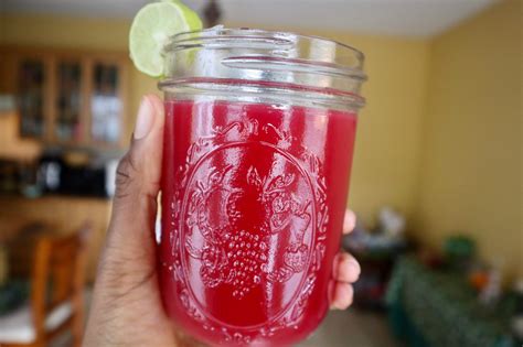 Prickly Pear Juice Recipe | Agua de Tuna - Ital Eats and Treats