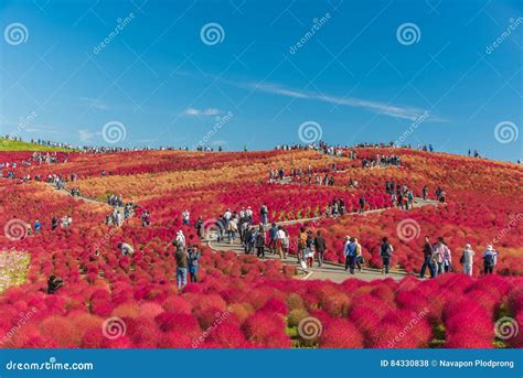 Image result for Pattern Finding with Unsupervised Learning Telecom