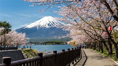 Weather in Japan in March | Rough Guides