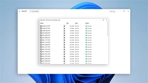 Image result for Disk Repair GUI