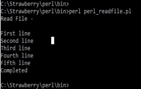 Image result for Perl File