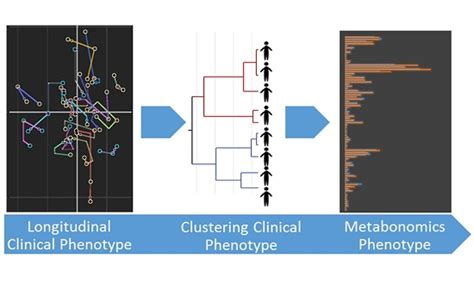 Urinary Metabolic Phenotyping Reveals Differences in the Metabolic ...