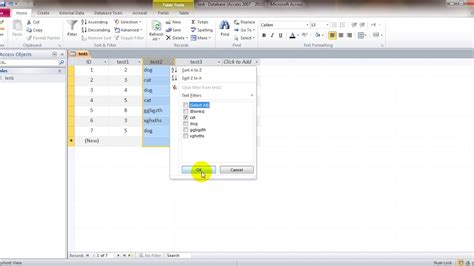 Sorting and Filtering Data MS Access 的图像结果
