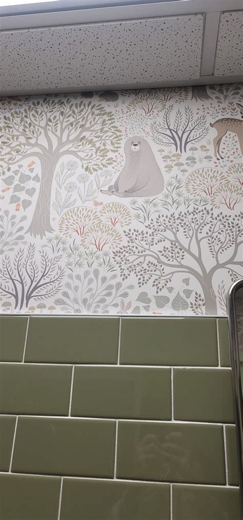 Set Apart Pediatrics - H. J. Oldenkamp