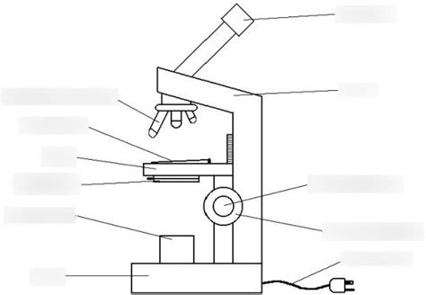 Image result for Light Microscope Model