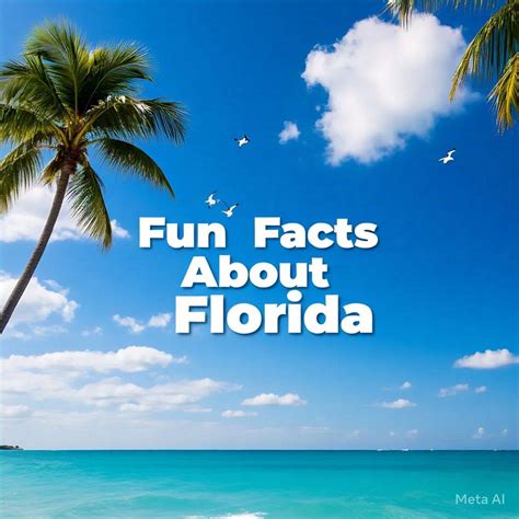 Fascinating Facts About Florida