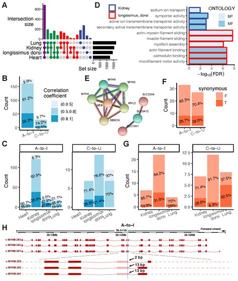 The Profiles and Functions of RNA Editing Sites Associated with High-Altitude Adaptation in Goats
