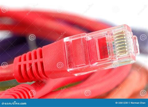 Image result for Internet Cable Plug