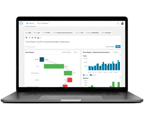SAP BPC 的图像结果