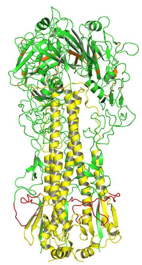 Targeting Hemagglutinin: Approaches for Broad Protection against the ...