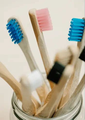 Image result for First Toothbrush