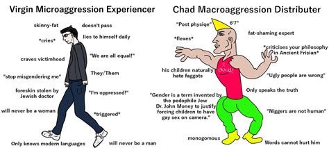 Image result for Macro Aggression Example