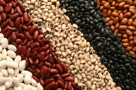Kacang-kacangan