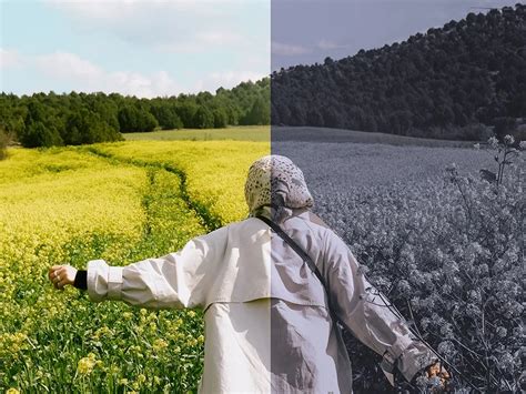 Image result for Piximperfect Color Gradding