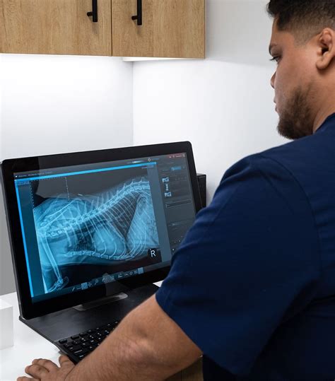 Scout Care | West Loop