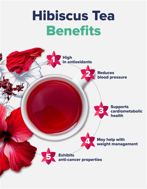 Hibiscus Tea Benefits - The Nutrition Insider