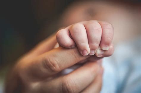 Right to bodily integrity and reproductive choice - TheLawmatics