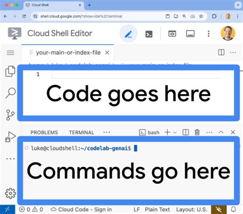 Image result for Copy and Paste Google Python Code