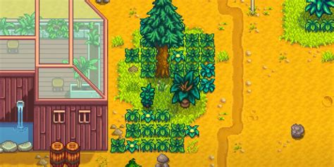 Stardew Valley: The Earthquake Event Explained