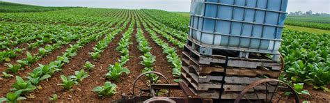 Intensive Farming 的图像结果