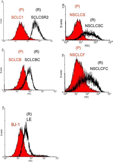 N′1,N′3-Dimethyl-N′1,N′3-bis(phenylcarbonothioyl) Propanedihydrazide ...