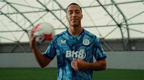 Image result for Avfc Goal Line Technology