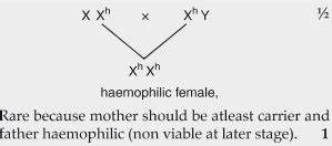 Why is the possibility of human female suffering from haemophilia rare ...