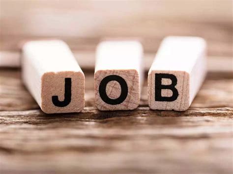 India's employment outlook rises 43 pc in Q2 2025: Survey