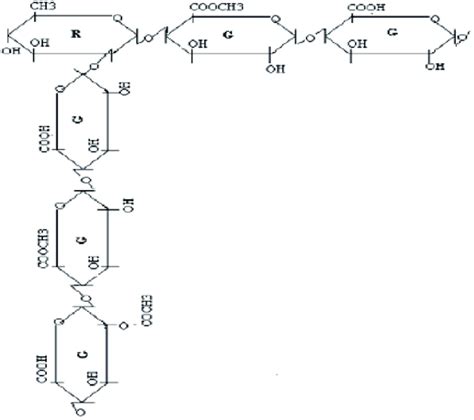 Image result for Pectin Structure Methanol