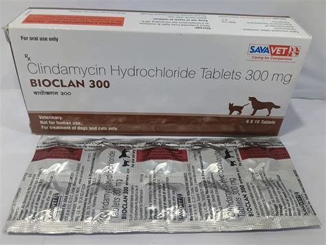 Veterinary Medicine - Clindamycin Hydrochloride 300mg 100% Export ...