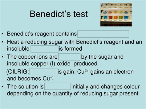 PPT - Testing for Reducing sugars Benedict’s Test PowerPoint ...