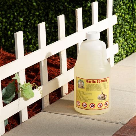 Just Scentsational Bare Ground Solutions Garlic Scentry in the Animal ...
