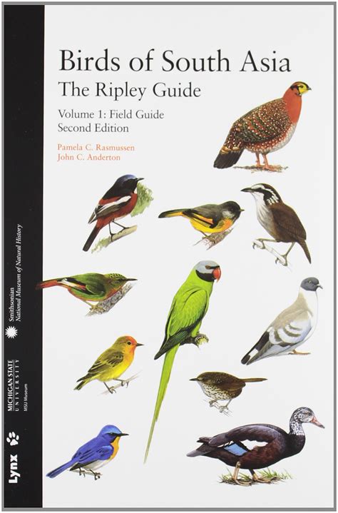 Buy Birds of South Asia: The Ripley Guide Online at desertcartINDIA