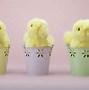 Image result for Cute Floral Easter Backgrounds with Bunnies