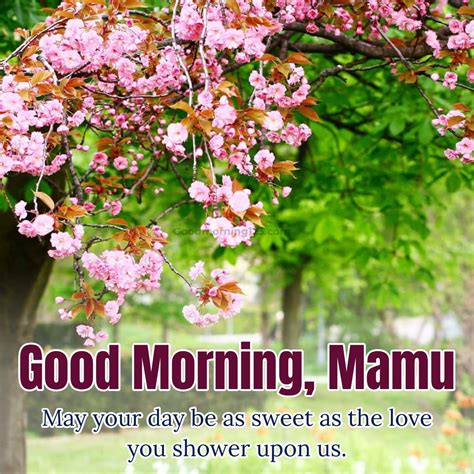 Heartfelt Greetings: Good Morning Mama Ji Images Galore
