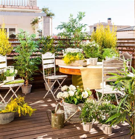 Ideas para colocar y organizar las plantas en tu terraza
