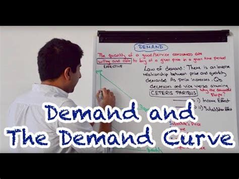 Law of Demand and Demand Curve Video Lecture - Economics Class 11 ...